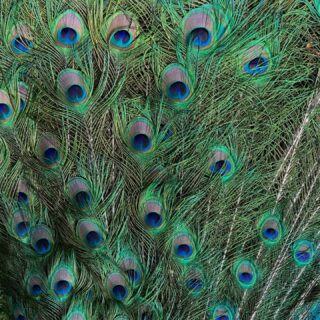 Not inspiration. Origin 💙

#avrego #shoes #handmade #madeinportugal #exclusive